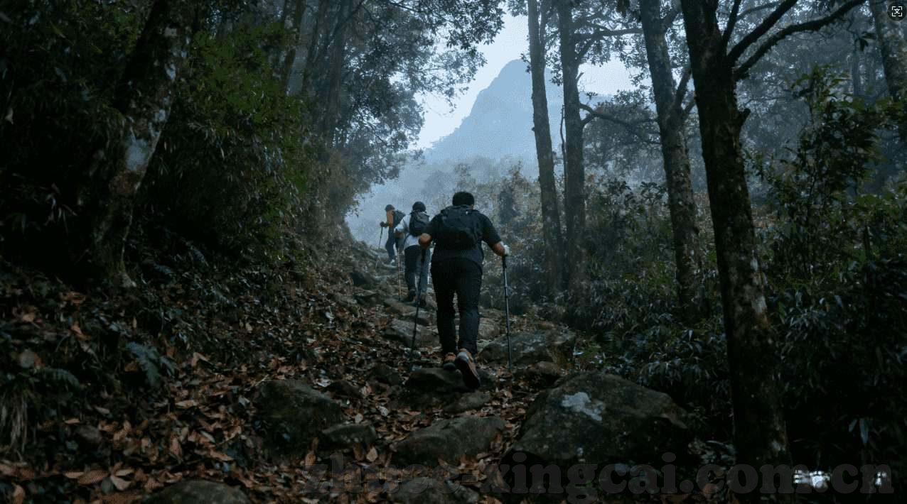 世界杯足球竞猜哪里买-世界杯足球竞猜，如何安全参与并享受乐趣